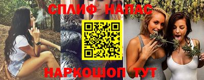 тгк Кингисепп
