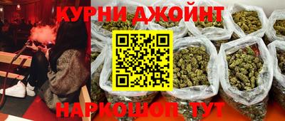 тгк Кингисепп