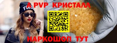 тгк Кингисепп