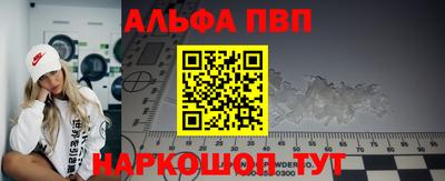 тгк Кингисепп