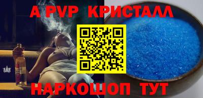 тгк Кингисепп