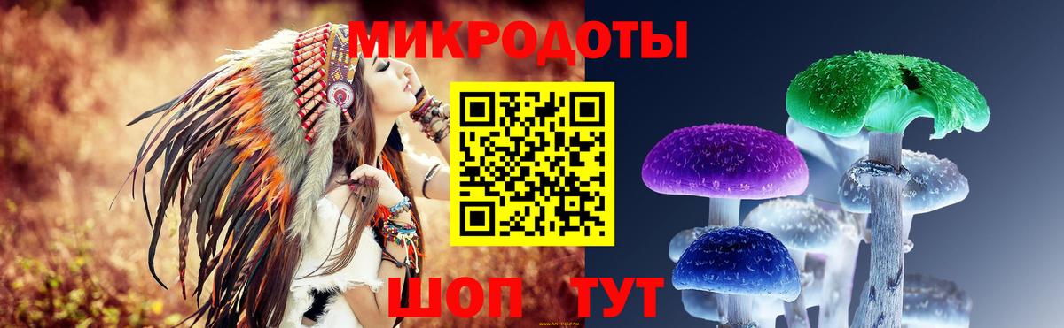 Волхов  купить  сайты  Вход с VPN  Псилоцибиновые грибы Cubensis 
